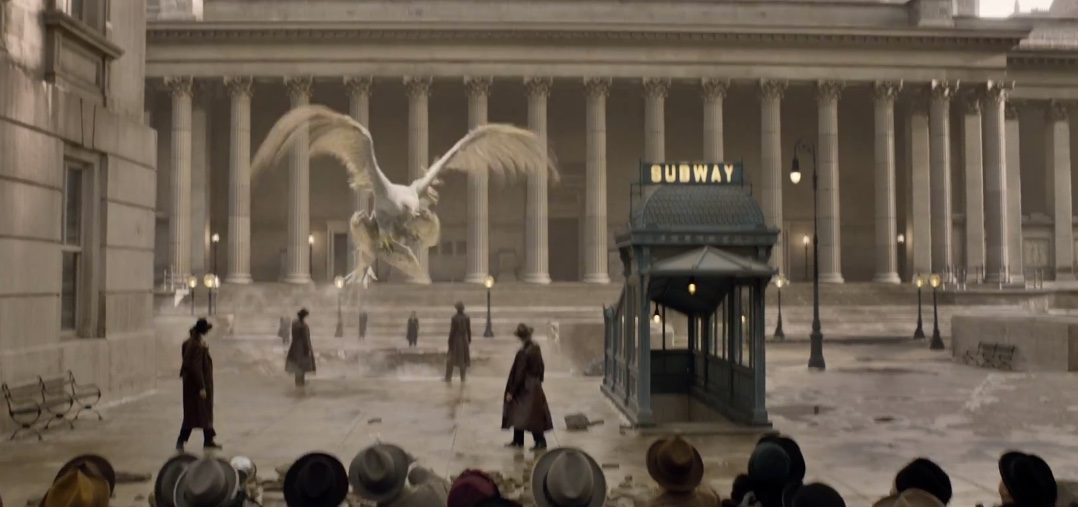 Movie Fantastic Beasts And Where To Find Them Bluray 2016