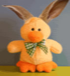 Zweiohrküken